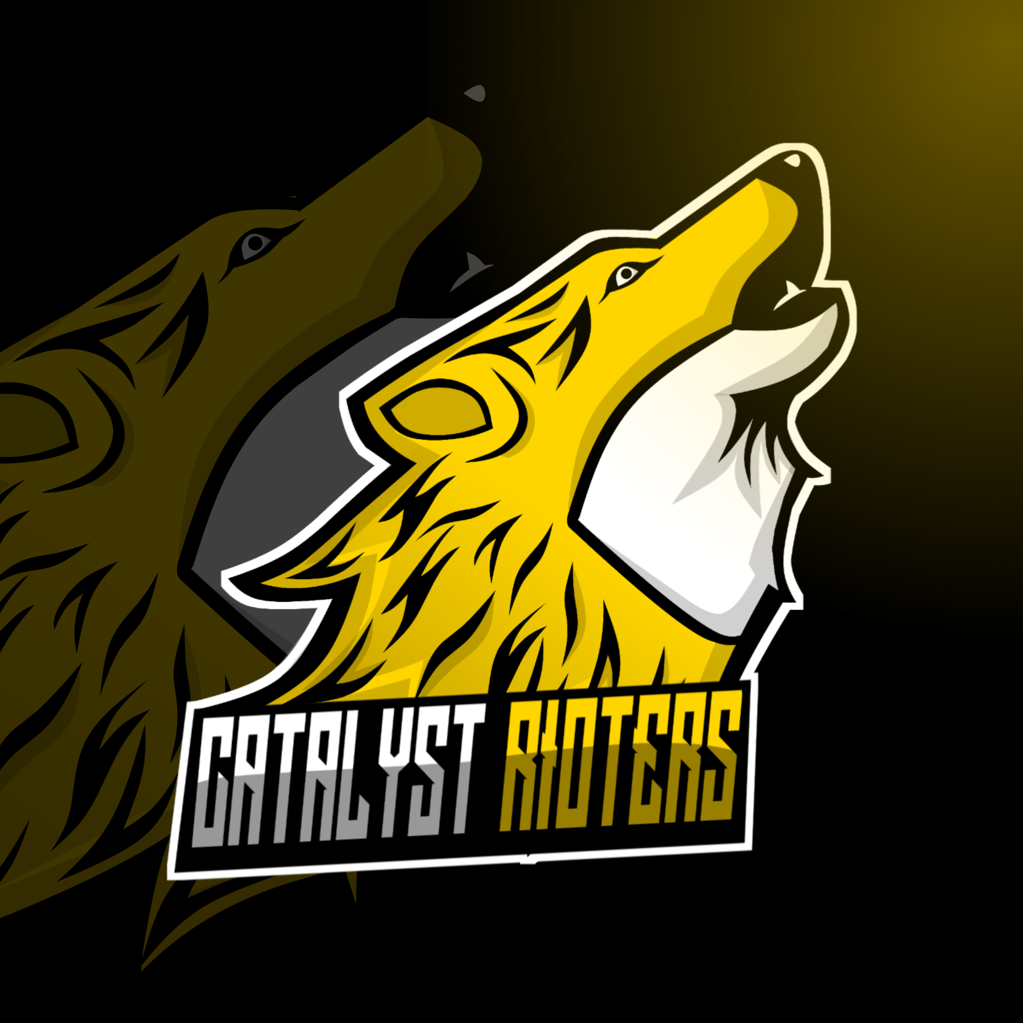 CATALYST RIOTERS
