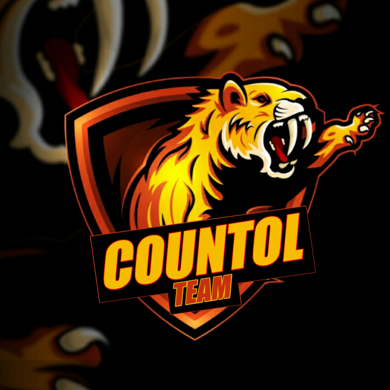 COUNTOL TEAM
