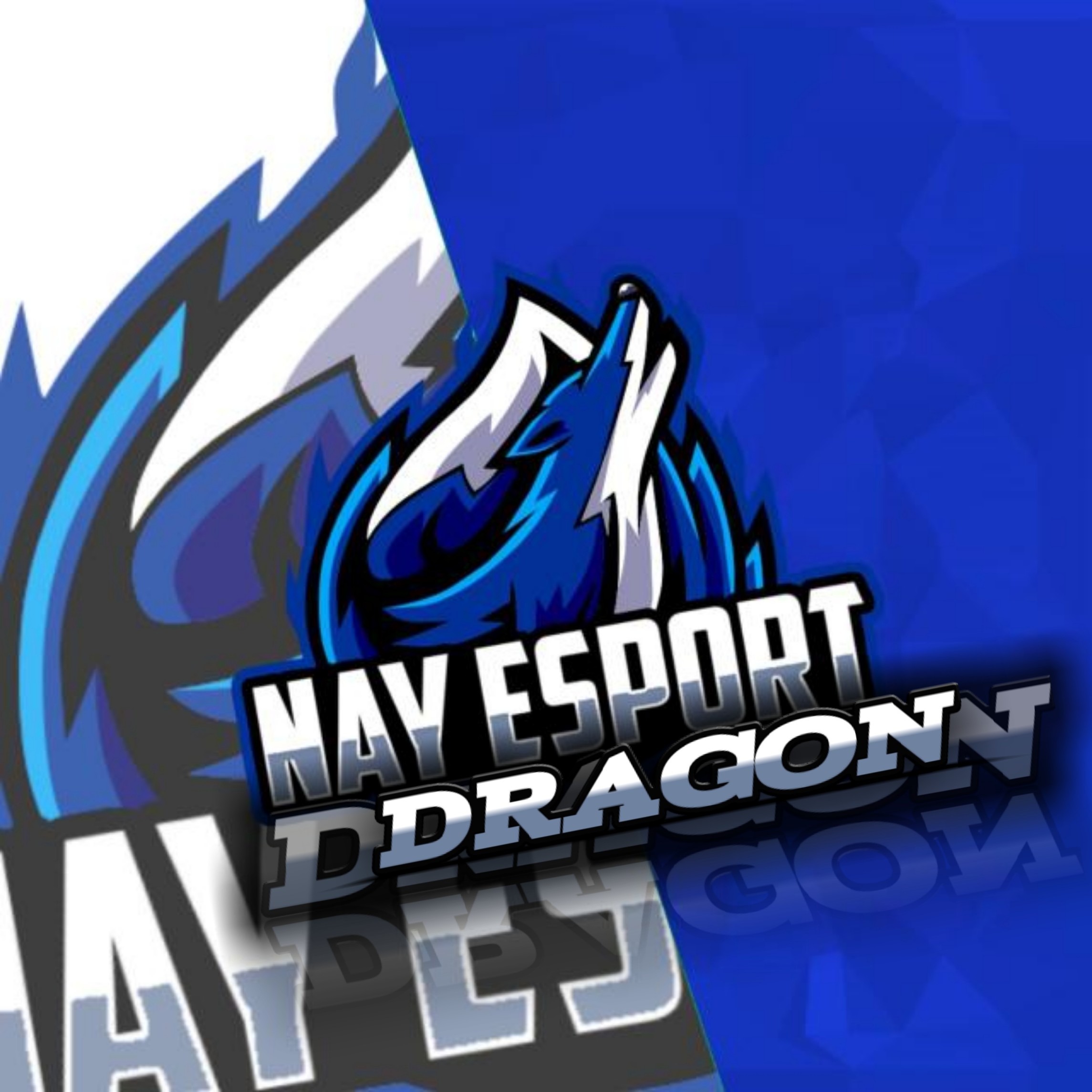NAY DRAGON