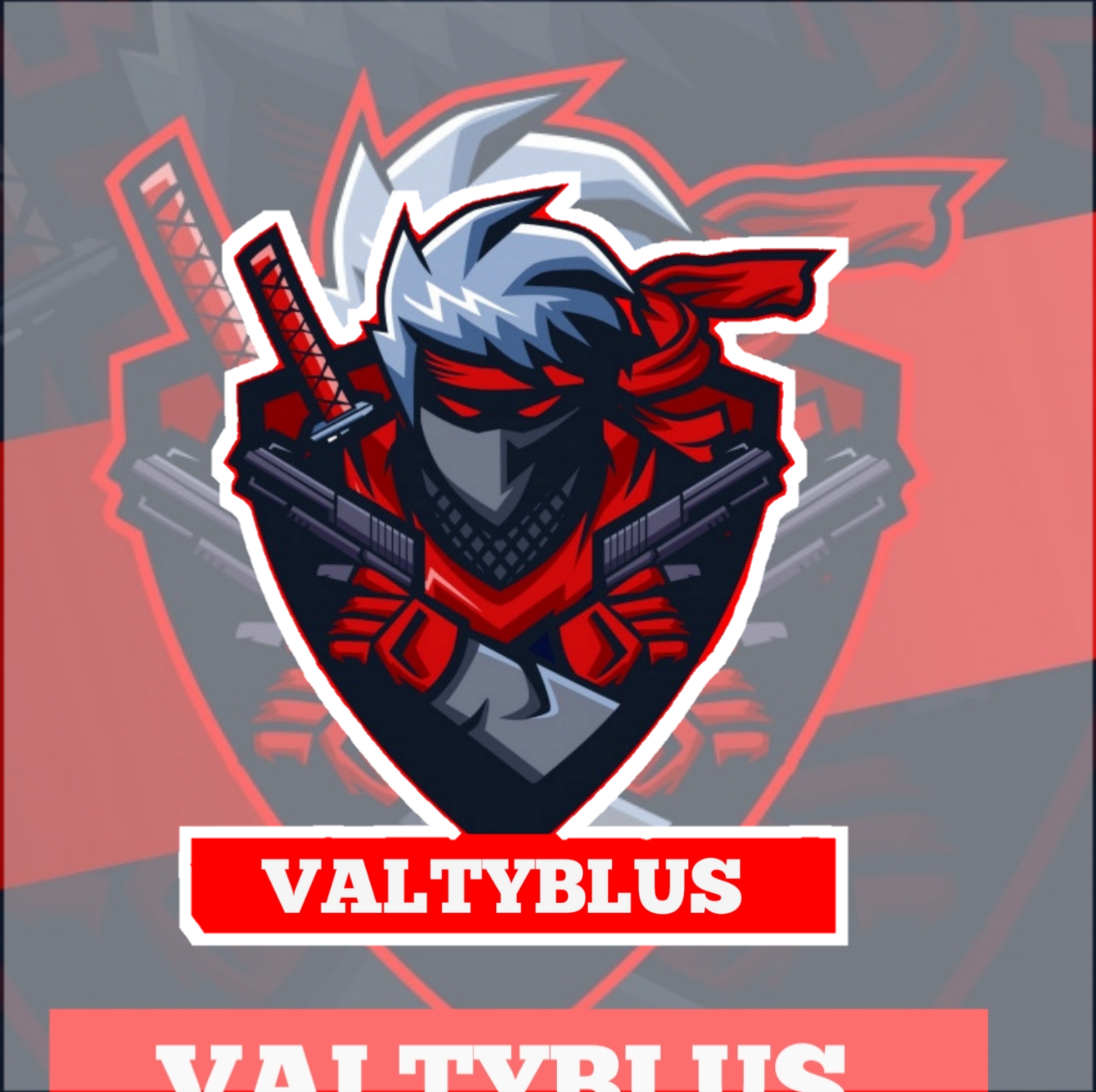VALTYBLUS