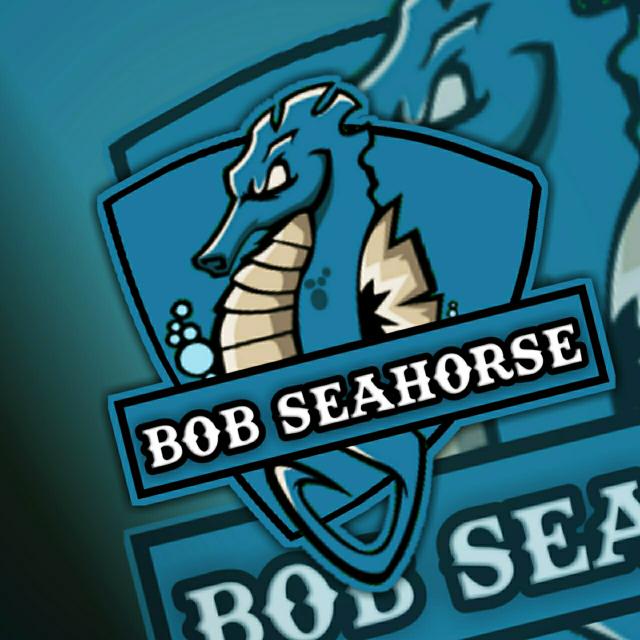 BOB SEAHORSE