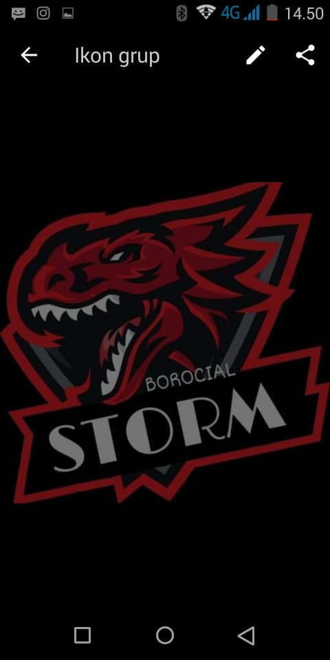 BOROCIAL STORM