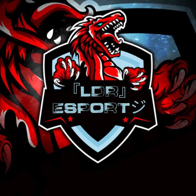 『LDR』ESPORTジ