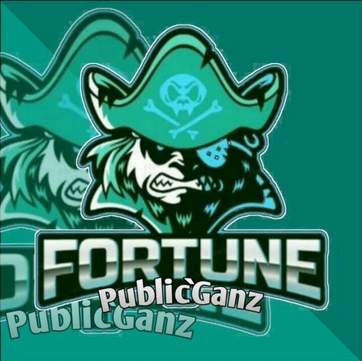 Fortune Public`Ganz