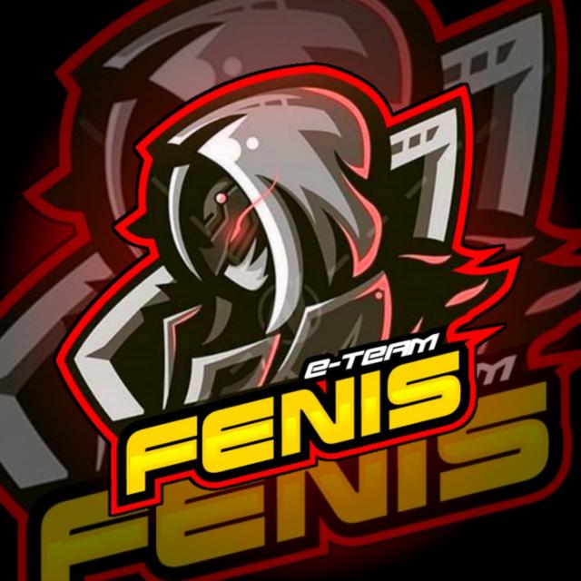 FENIS E-TEAM