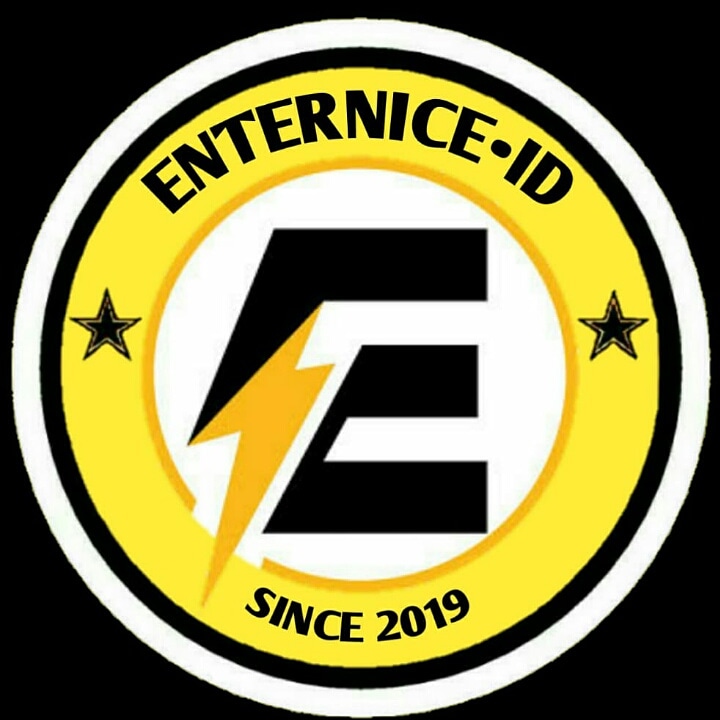 ENTERNICE AB