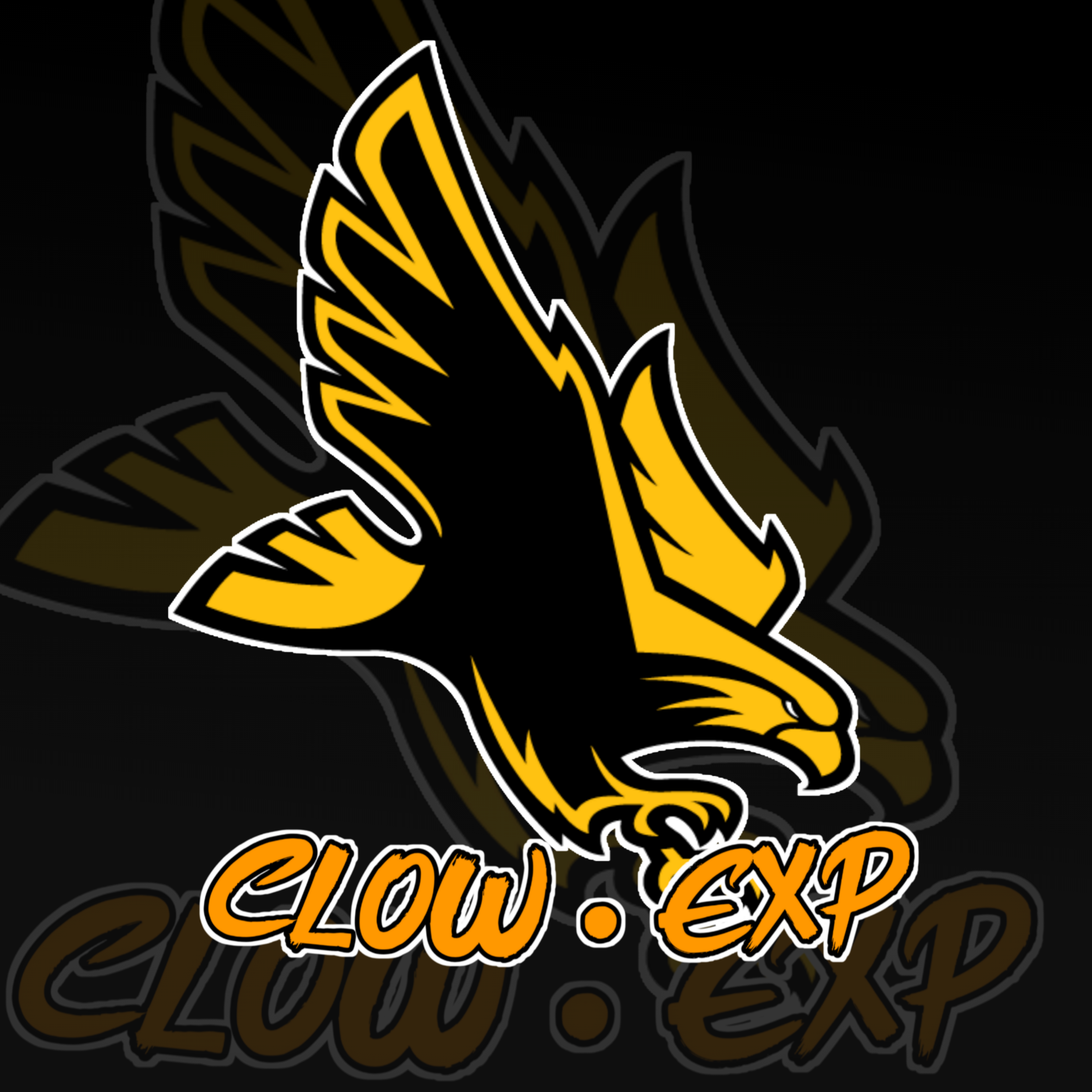 CLOW・EXP