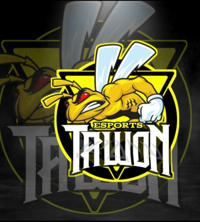 TAWON e-sport
