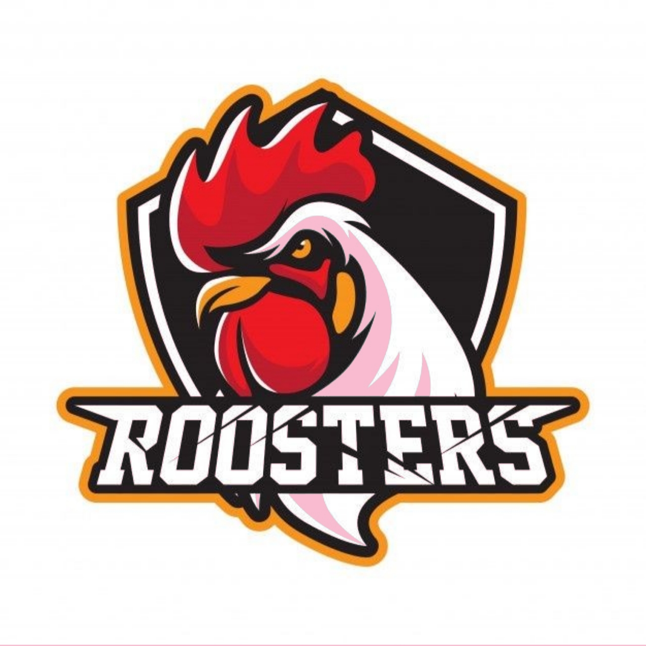 ROOSTERS GILR