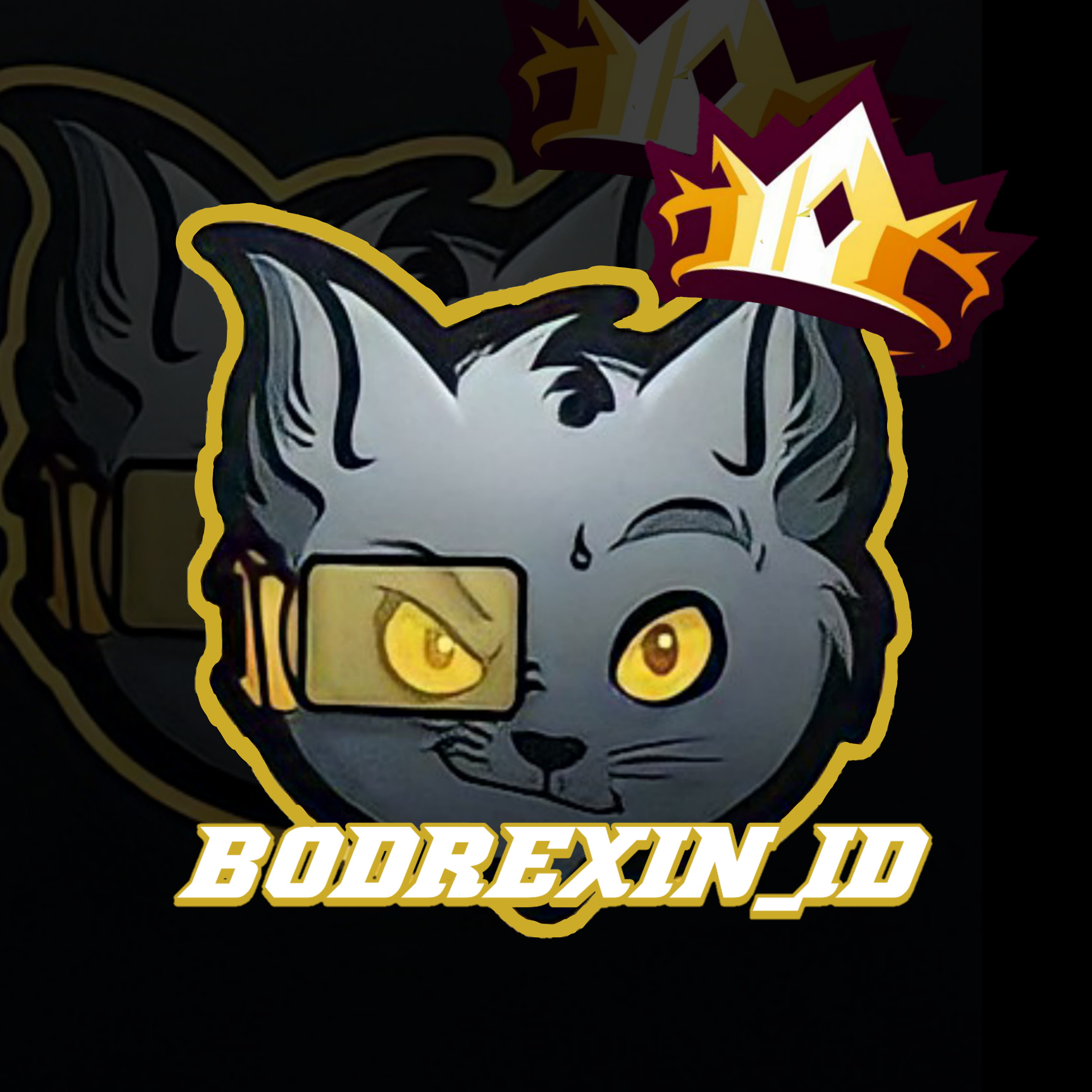 BODREXIN_ID