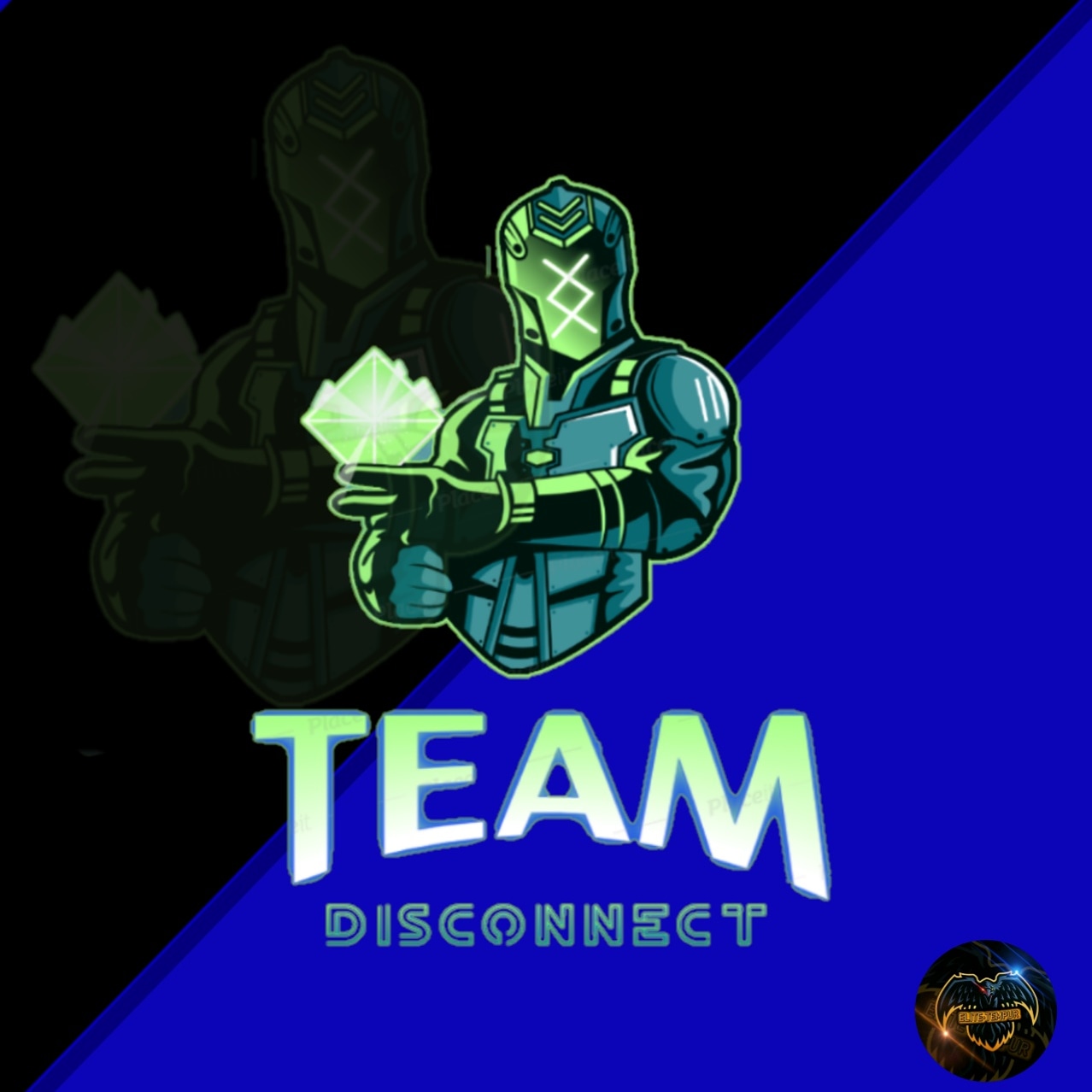 ELITE•TEMPUR DISCONNECT