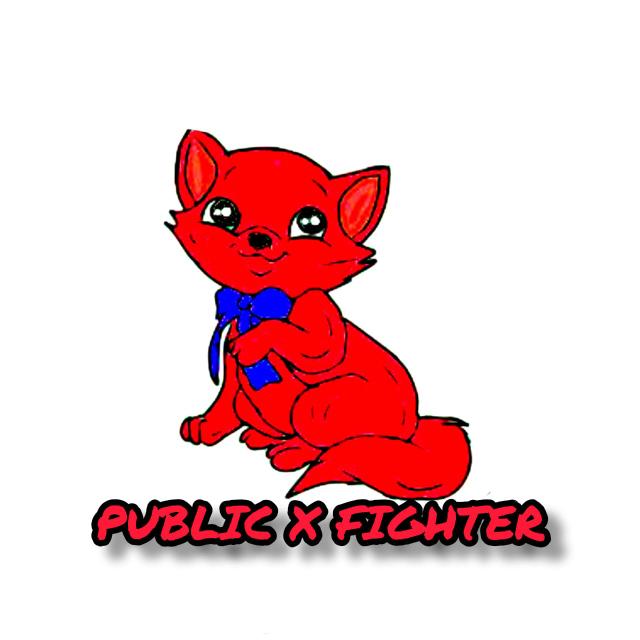 PUBLIC X FIGHTER
