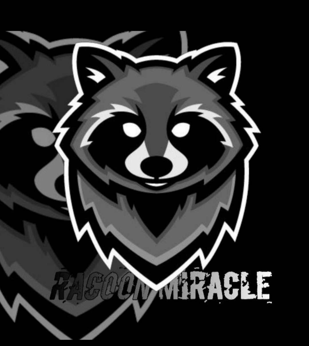 Racoon Miracle