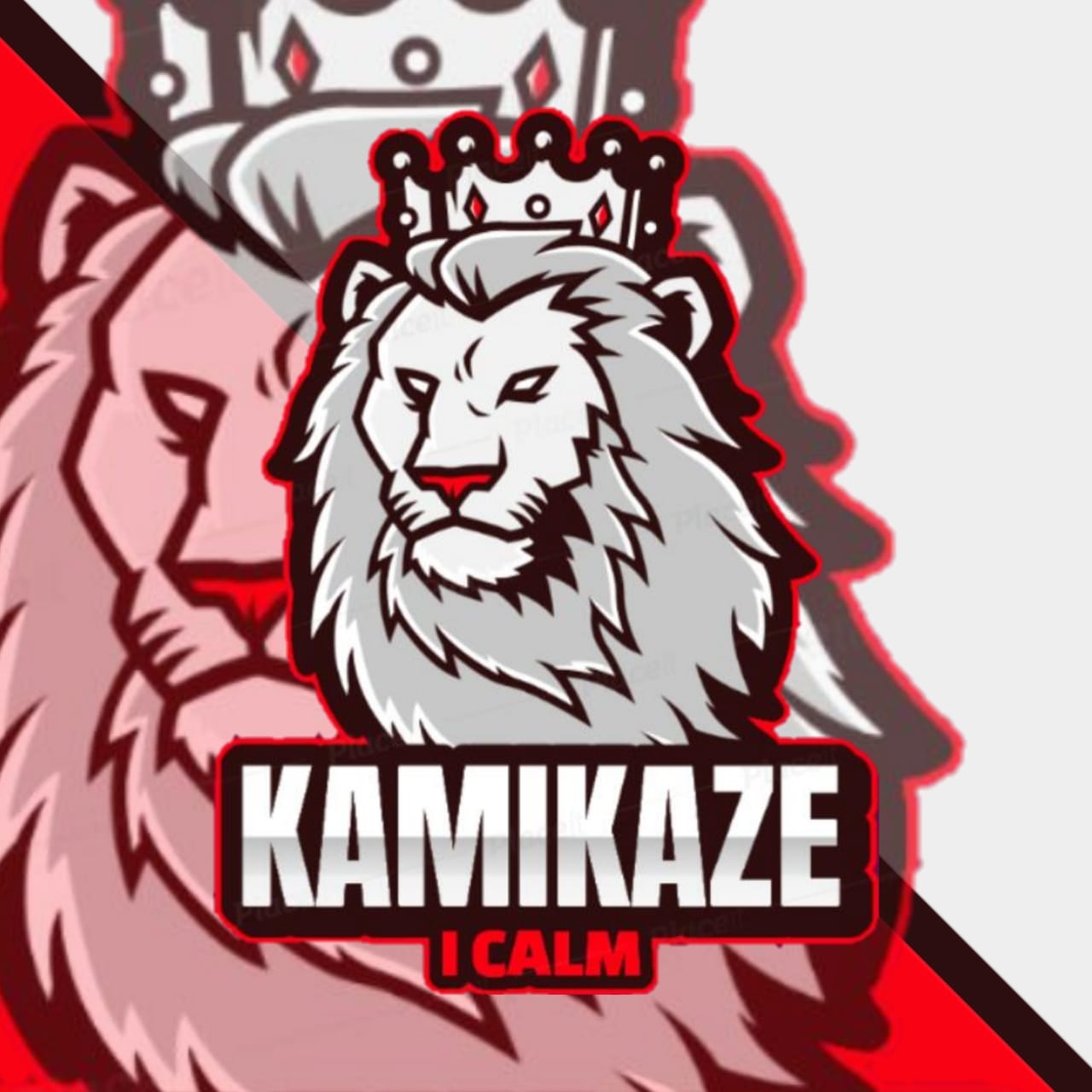 KAMIKAZE I CALM