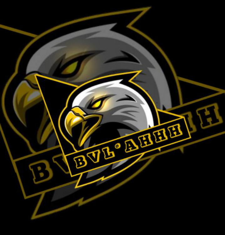 BVL°AHH