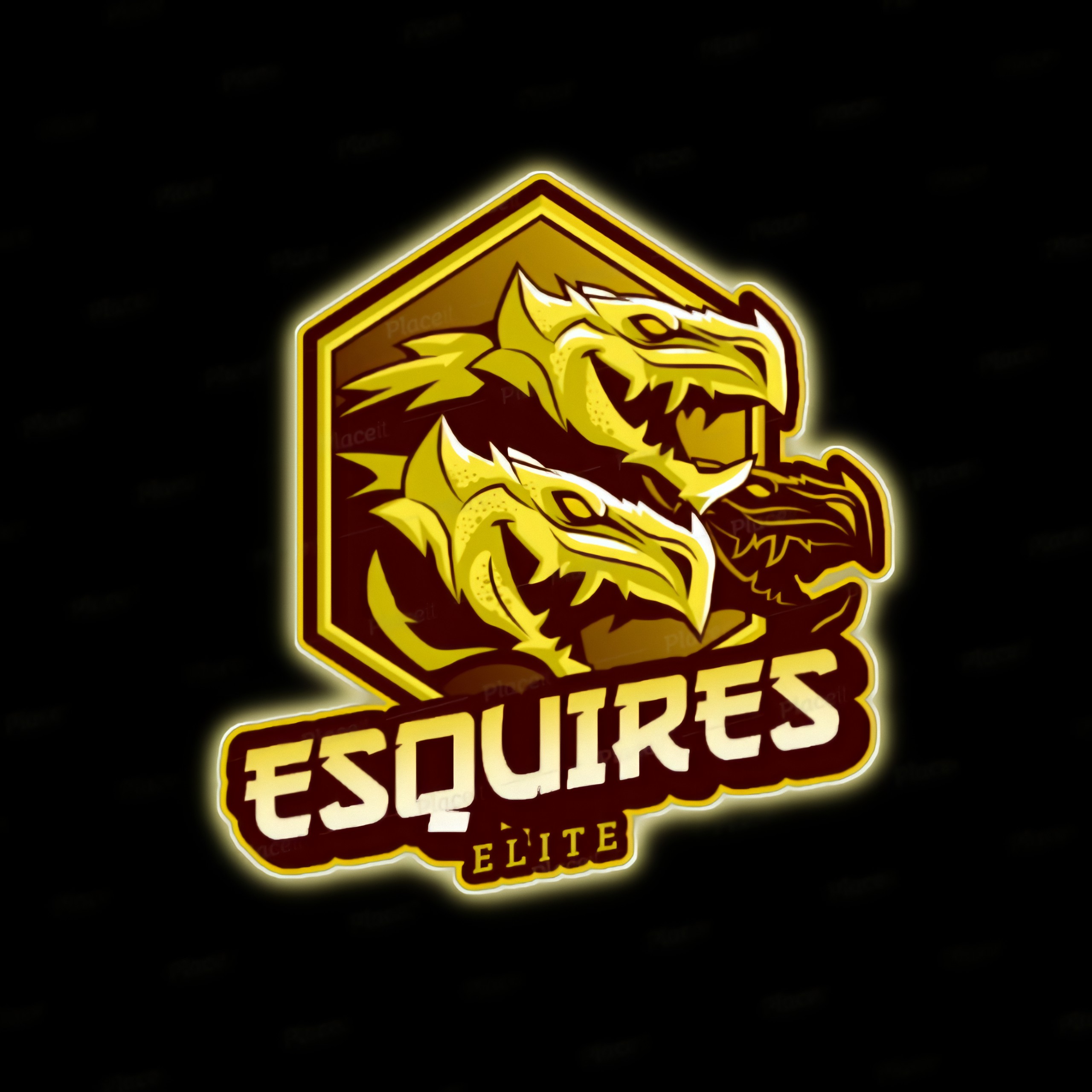 Esquires•Elite