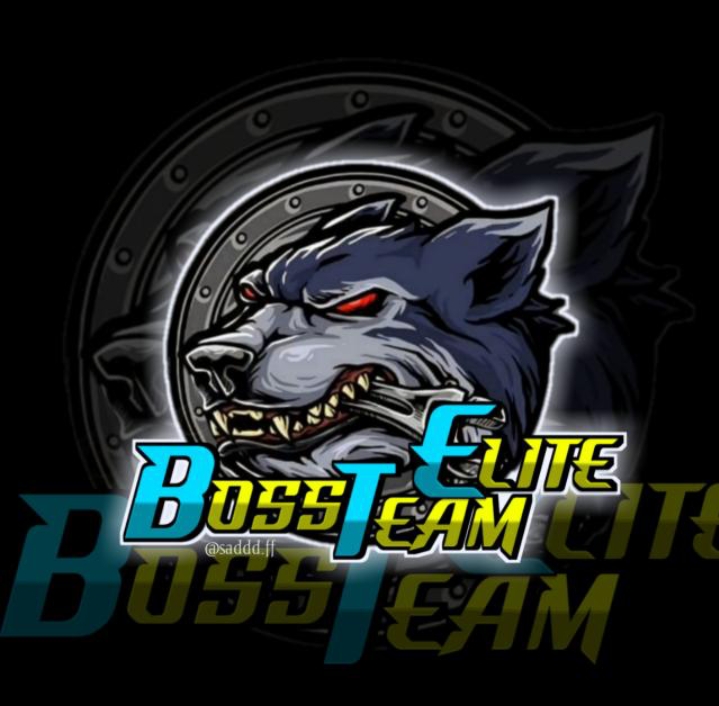 BOSS TEAM ID