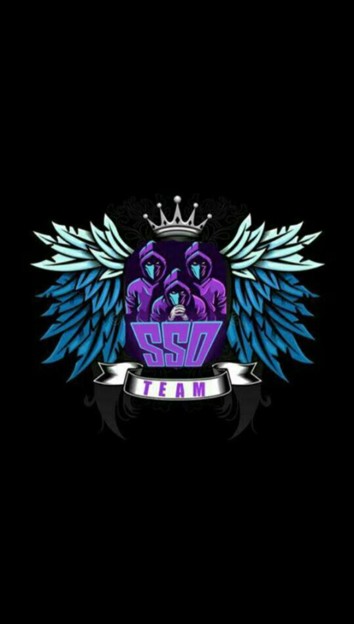 「SSO」team
