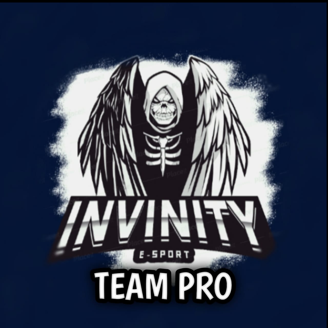 INVINITY•PRO