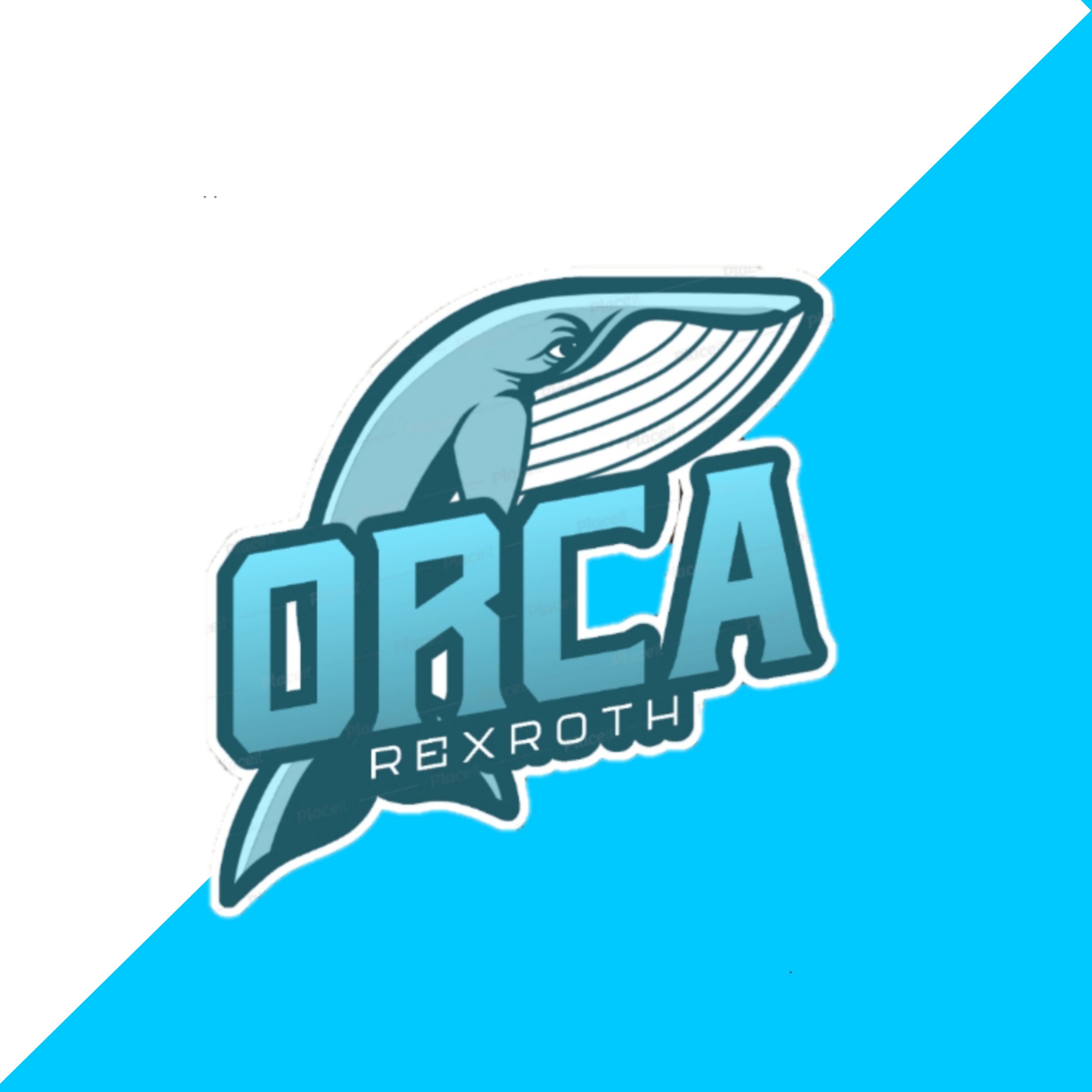 ORCA REXROTH