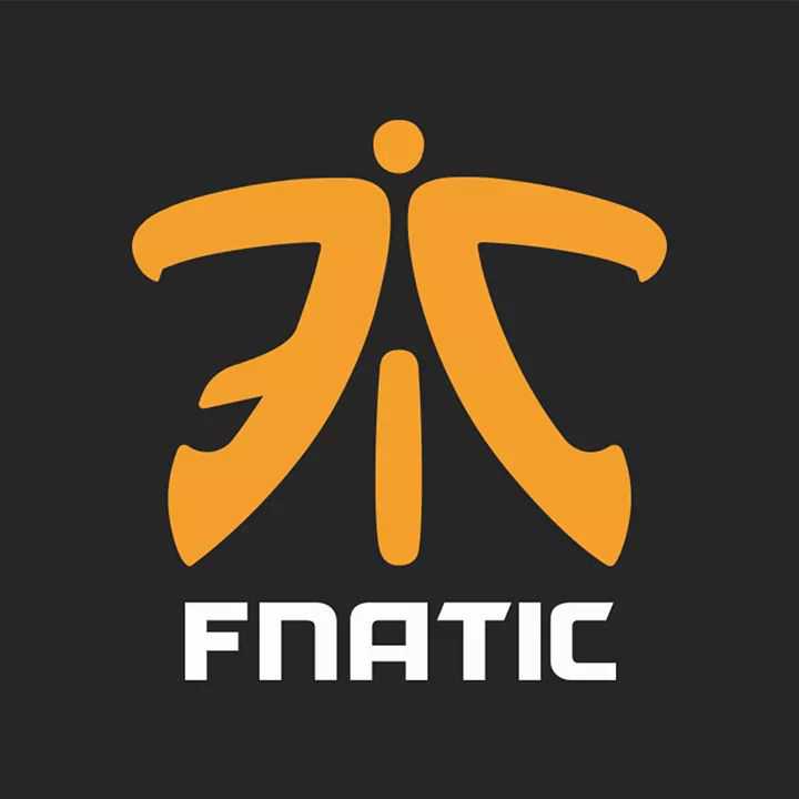 FNATIC ELITE