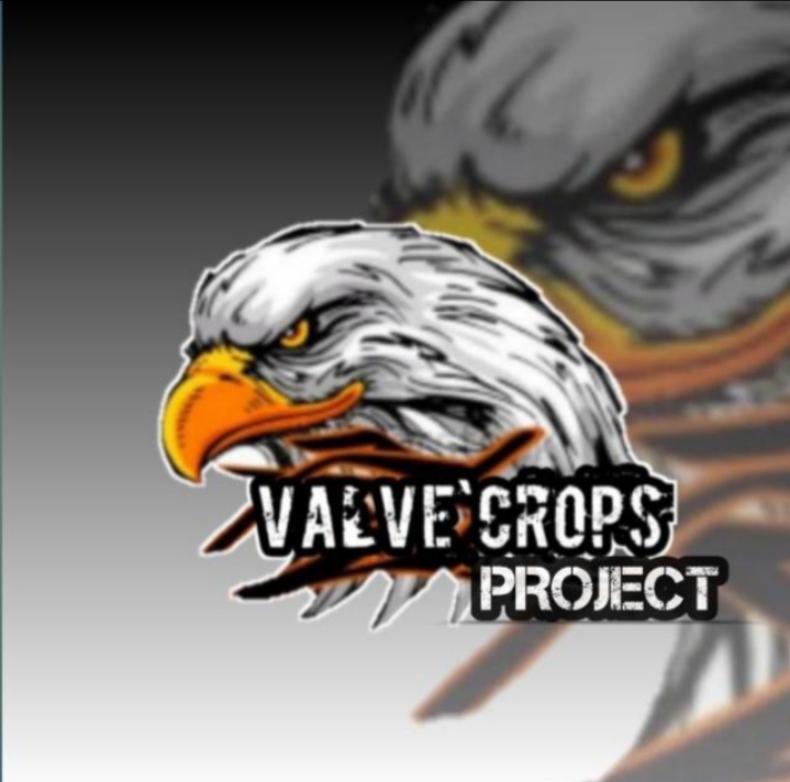 VALVE`PROJECT