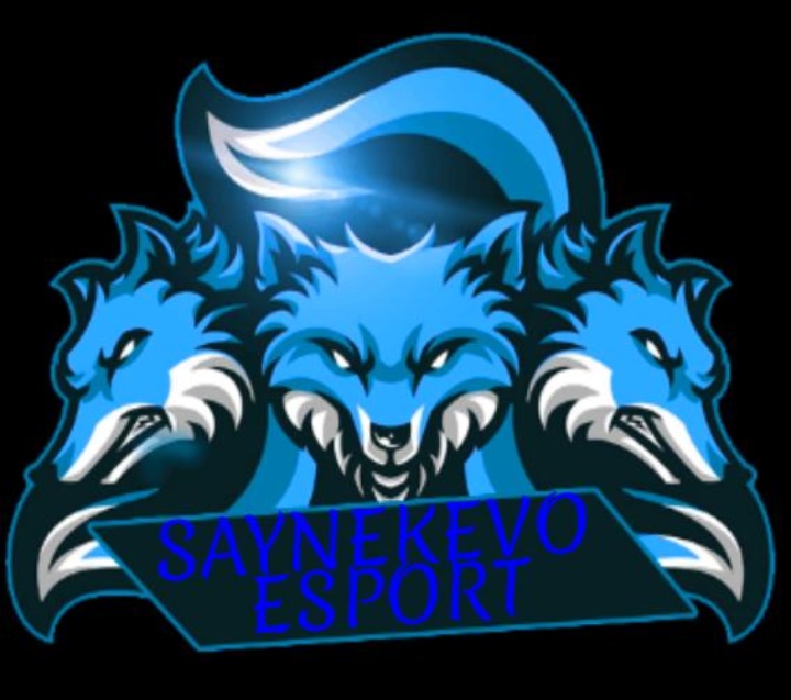 SAYNEKEVO ESPORT