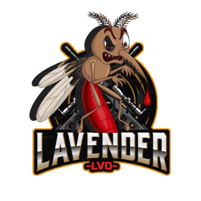 LAVENDER MOSQUITO