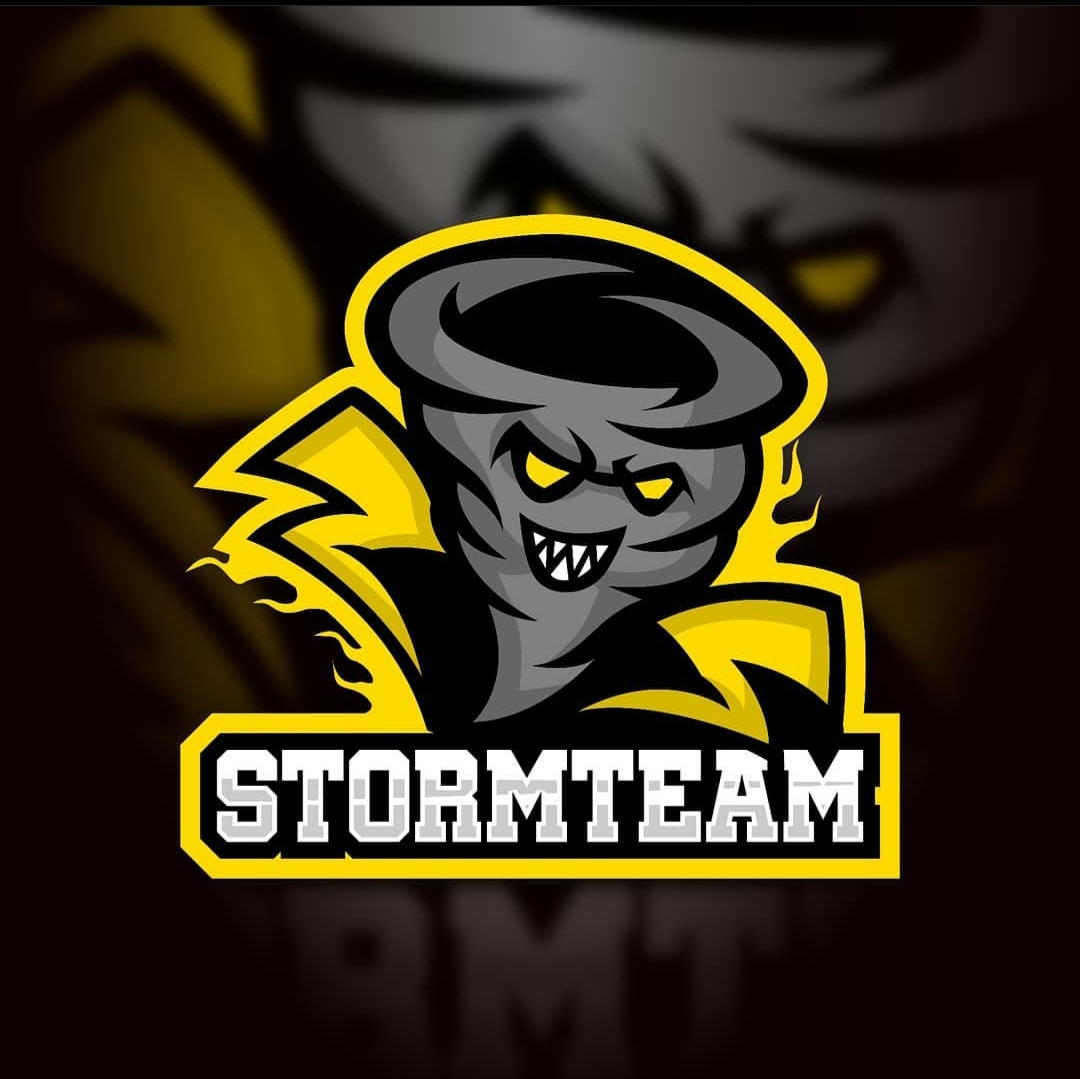 STORMTEAM`REBORN