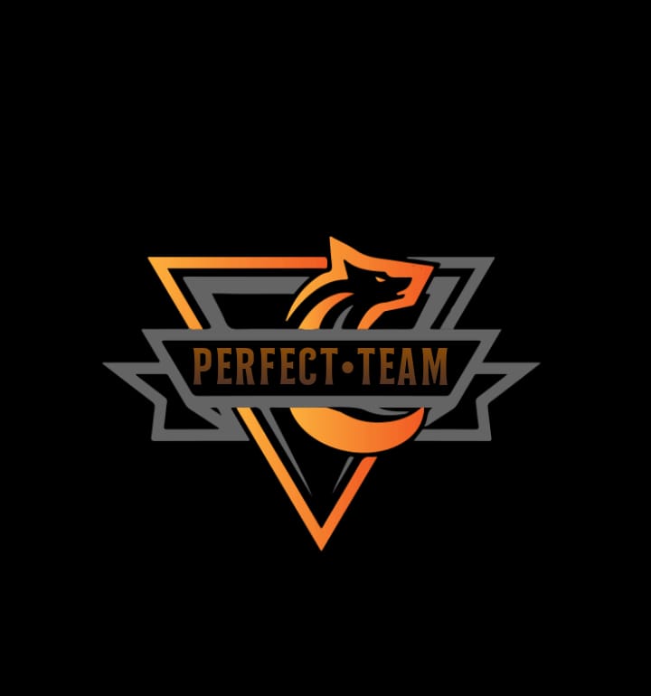 PERFECT•TEAM