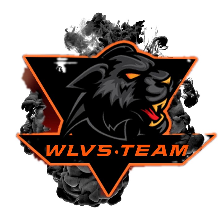 WLVS TEAM