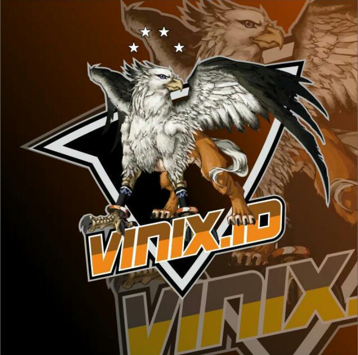 VINIX INSIDEX