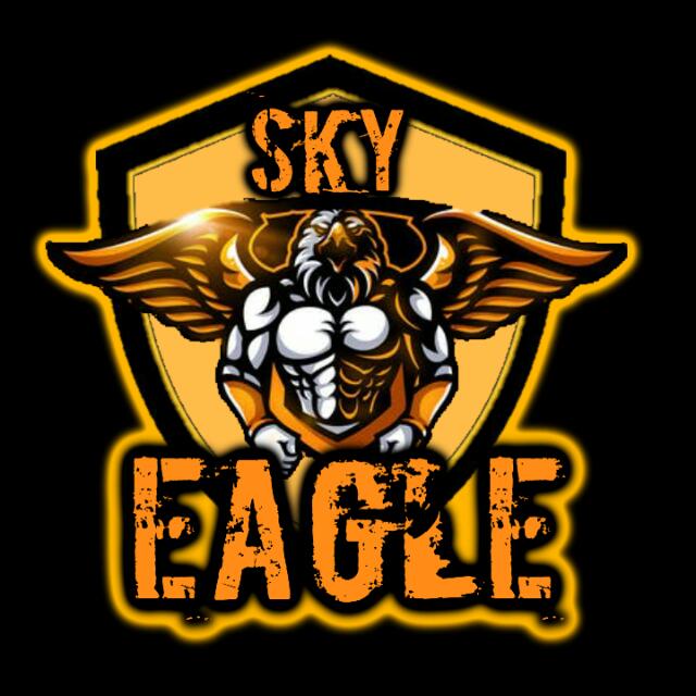 SKY༄EAGLE