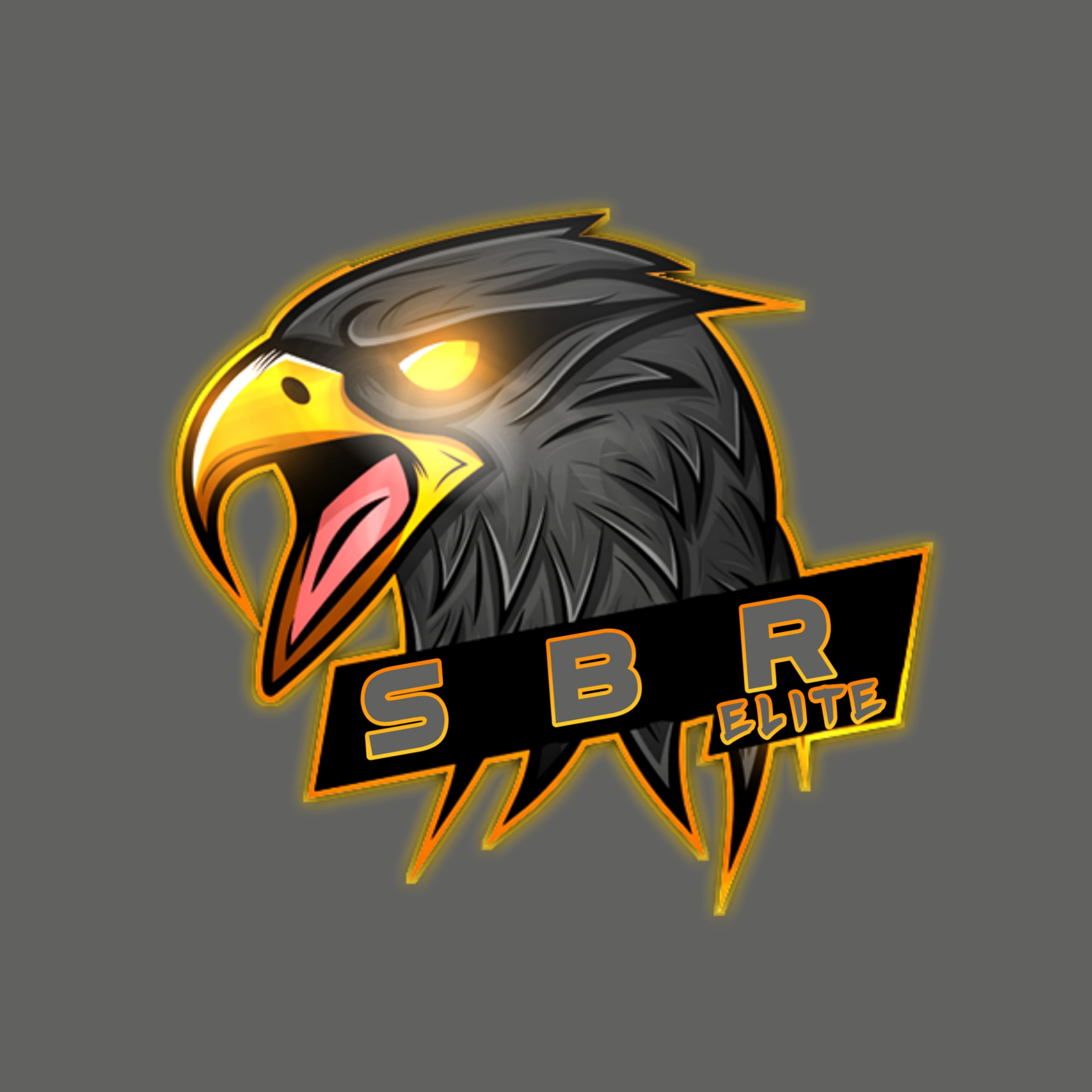 •SBR•ELITE BAR BAR