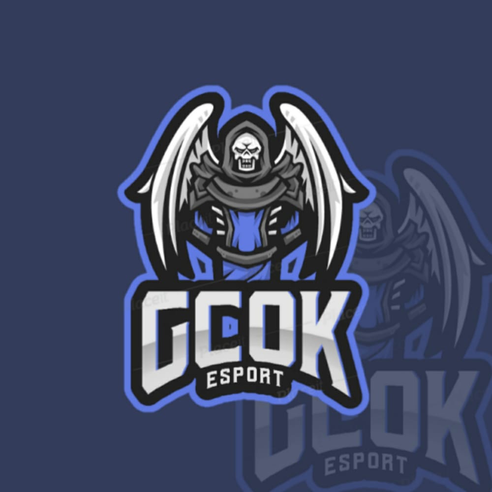 GCOK ESPORT