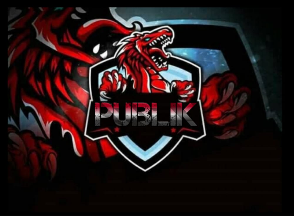 PUBLIK TEAM 