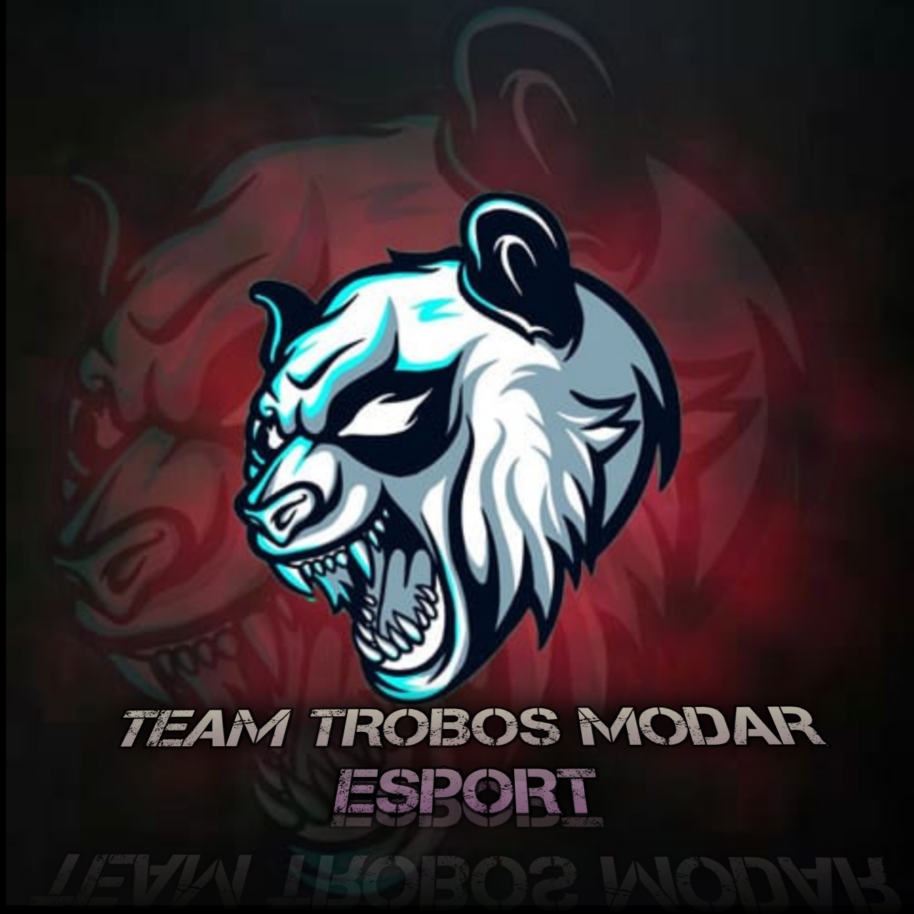 TTM ESPORT