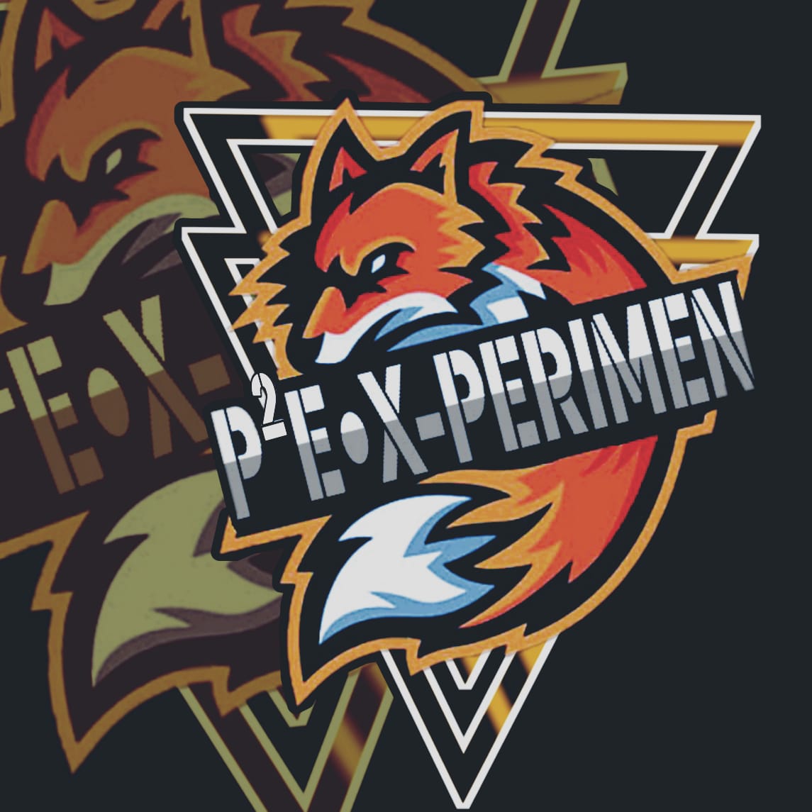 P²E•X-PERIMEN