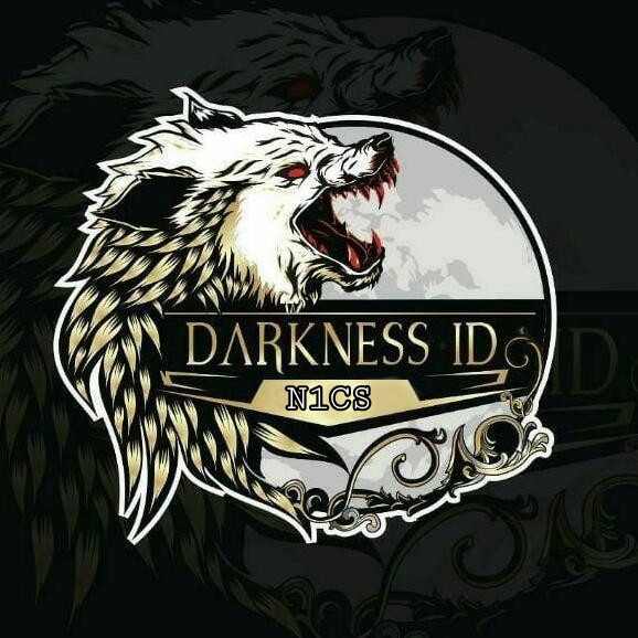 DARKNESS N1CD