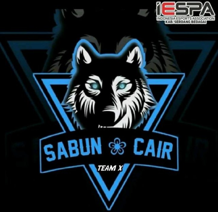 Sabun Cair Team X