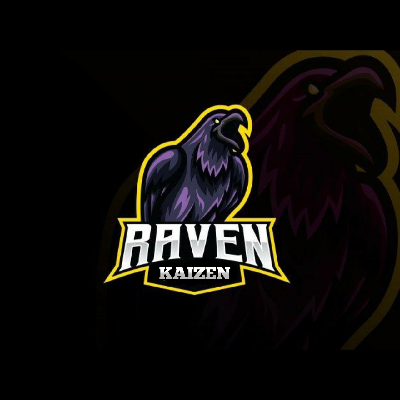 RAVEN KAIZEN