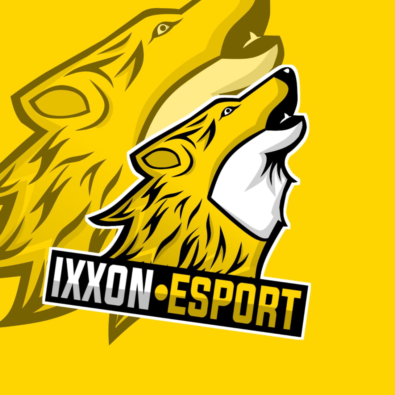 IXXON•ESPORT