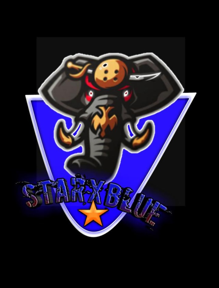 STAR•X•BLUE