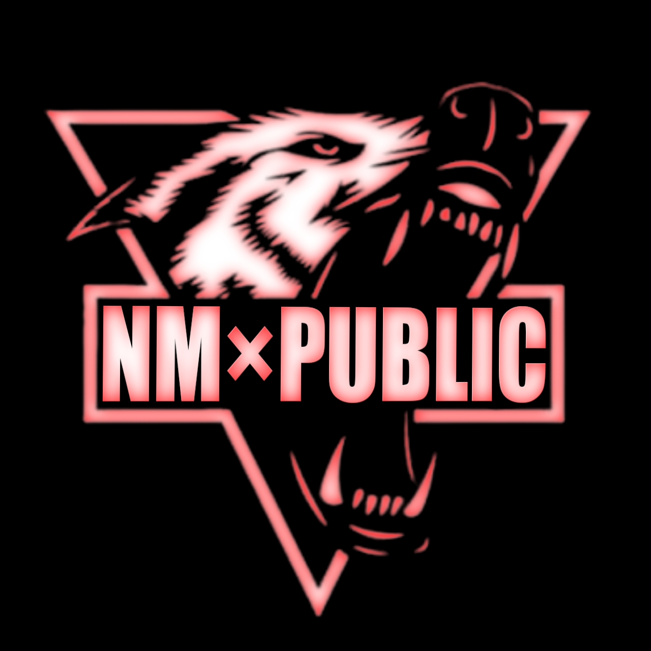 NM×PUBLIC