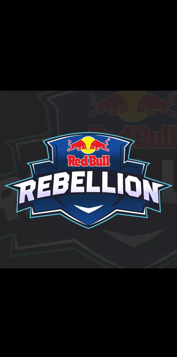 REDBULL REBELLION ACADEMY