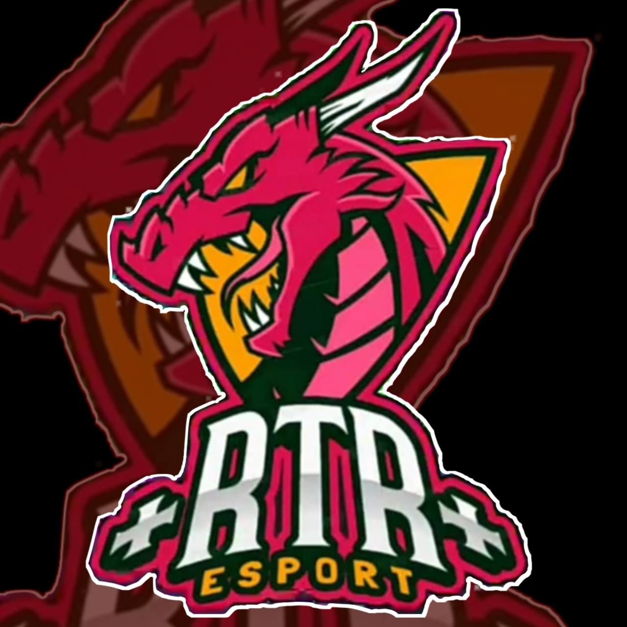 RTR ESPORT 