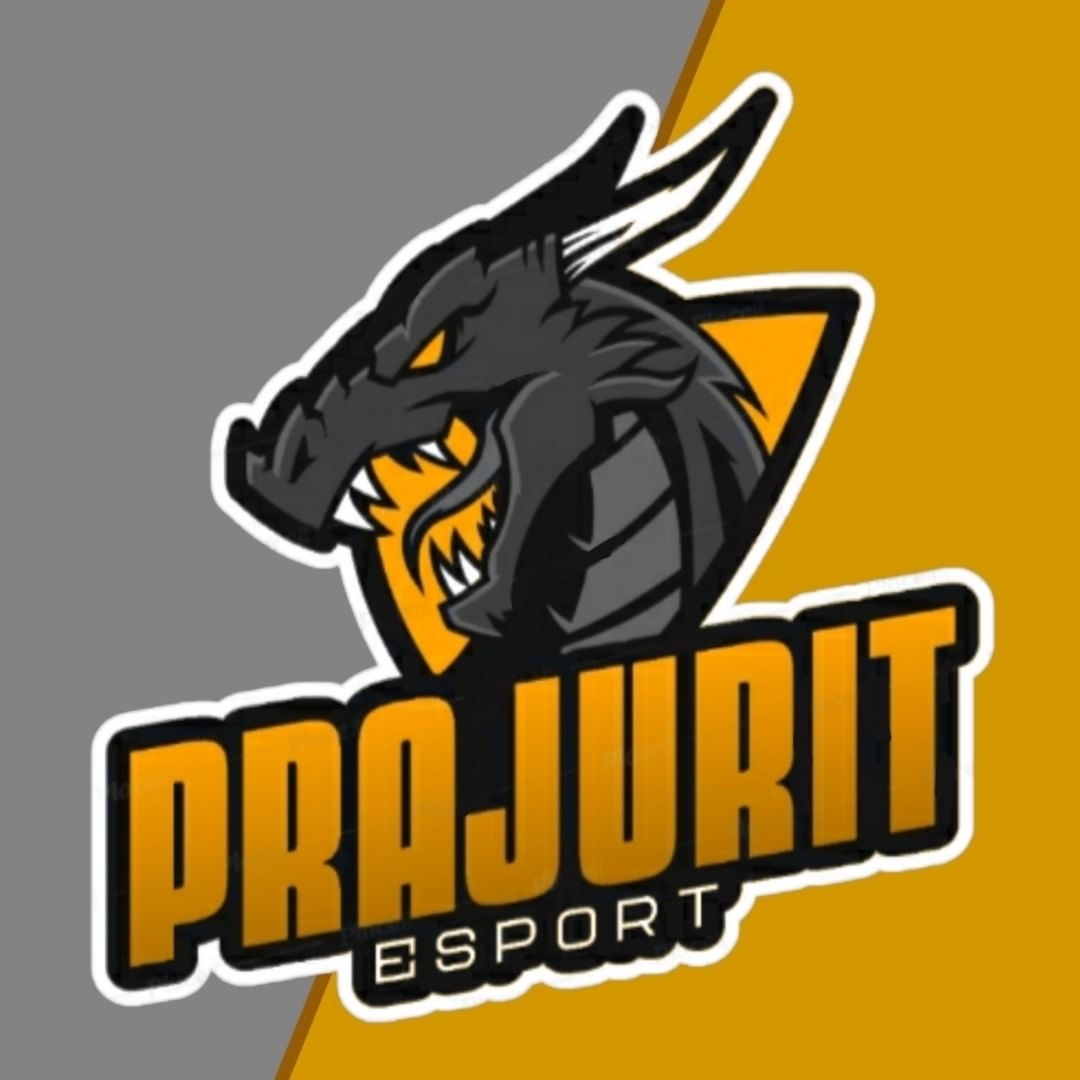 PJT•ESPORT