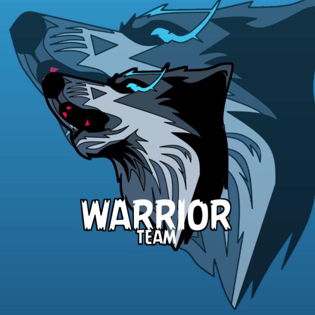 WARRIOR TEAM 