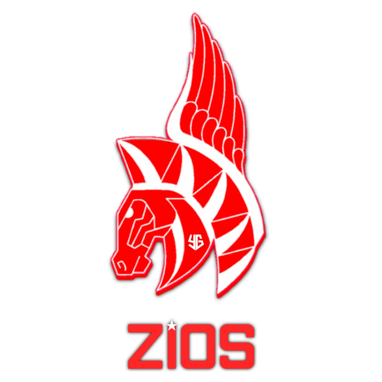 ZIOS PRO TEAM