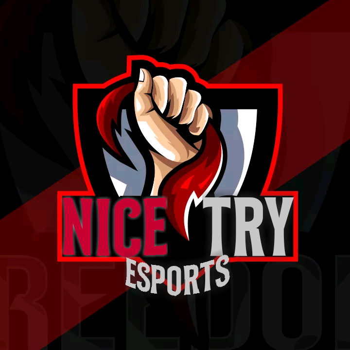 NICE•TRY